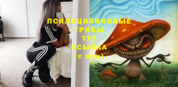 гидра Зерноград