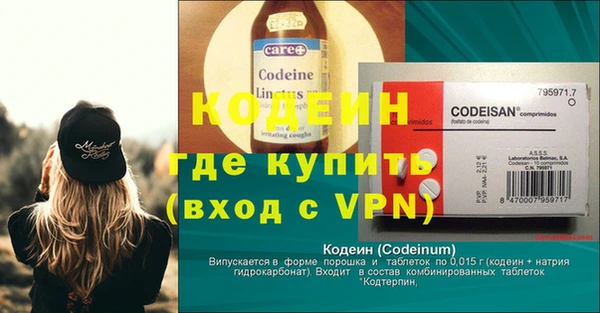 крисы Инсар