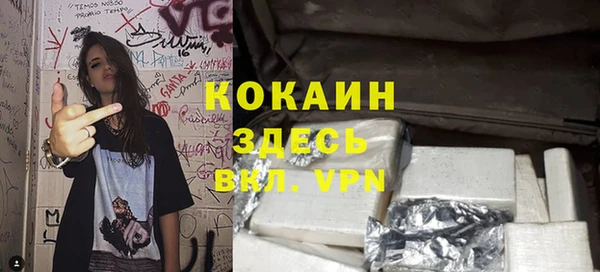 бошки Тында