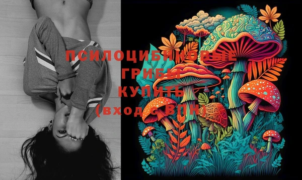 эйфоретик Туринск