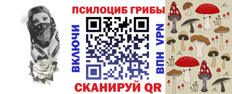 Псилоцибиновые грибы прущие грибы ссылка на мегу вход Фрязино