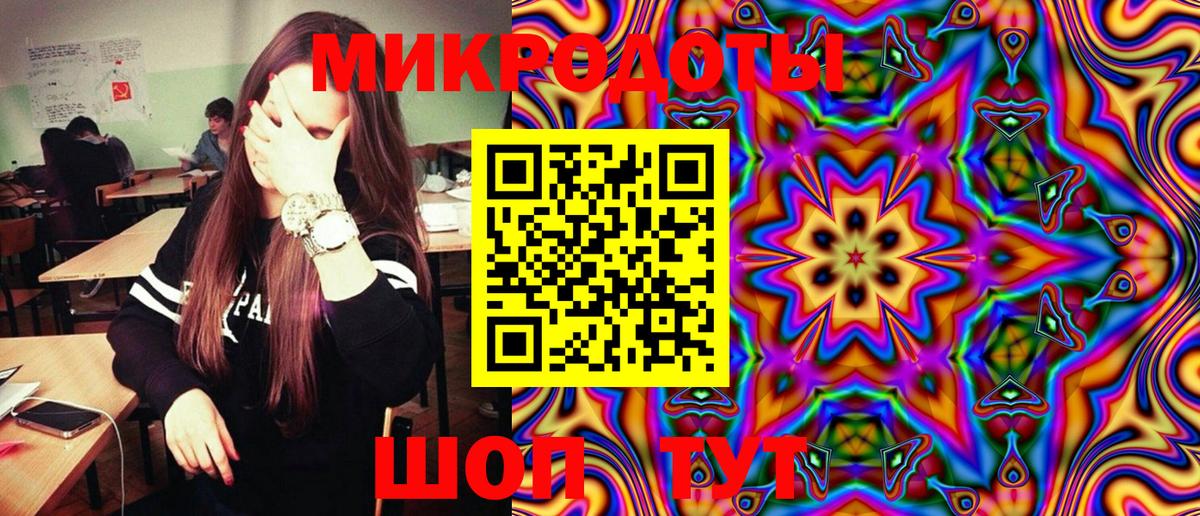 Псилоцибиновые грибы Psilocybe Фрязино