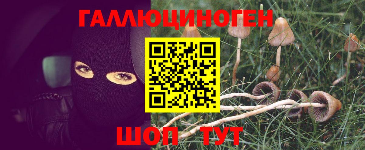 Галлюциногенные грибы мухоморы Фрязино