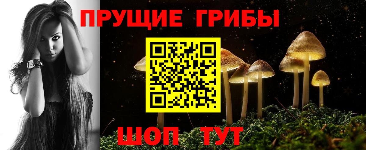Псилоцибиновые грибы Psilocybe  Галлюциногенные грибы Cubensis  Фрязино 